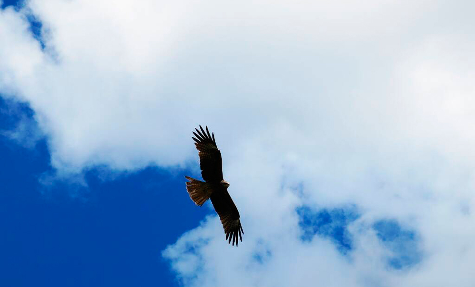 Foto: Karina e Pablo