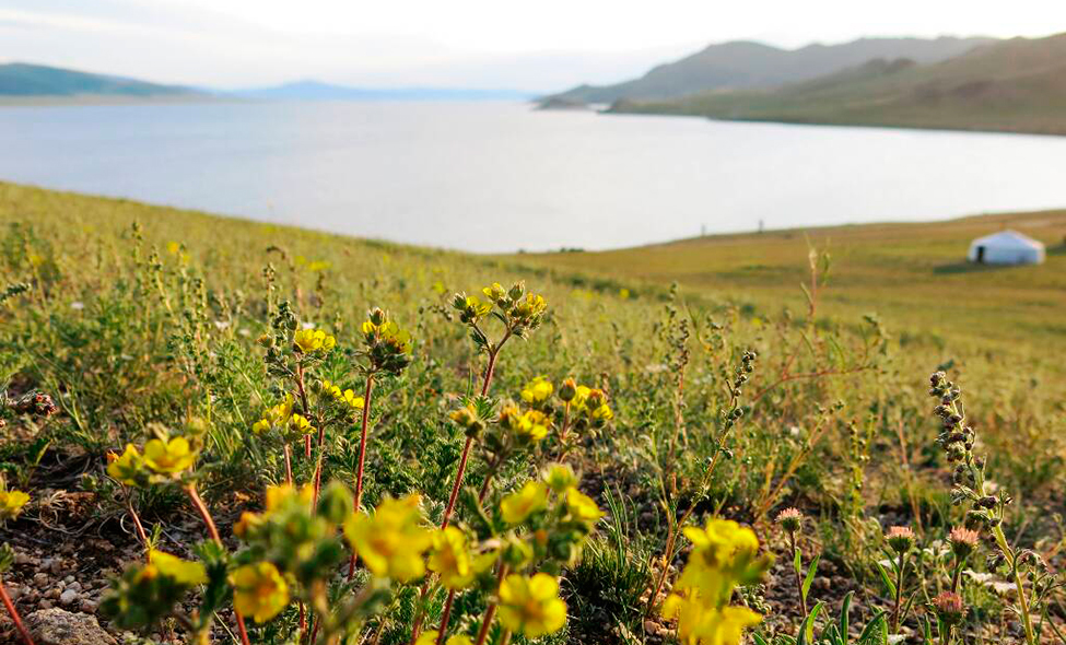 Foto: Karina e Pablo