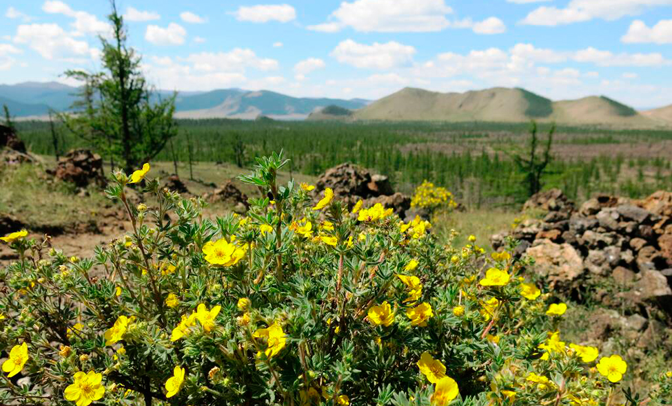 Foto: Karina e Pablo