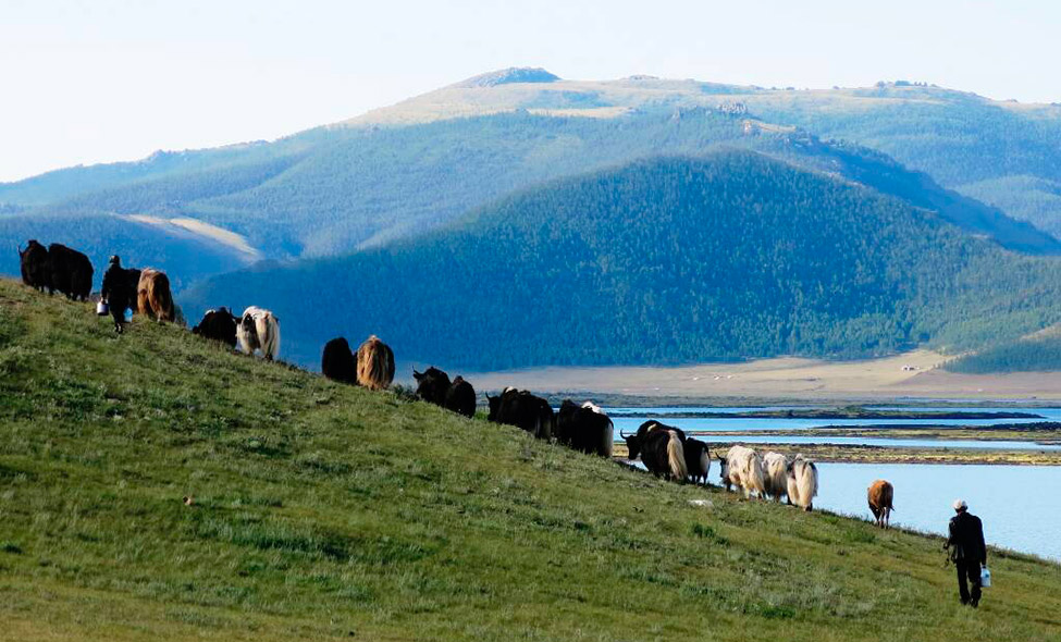 Foto: Karina e Pablo