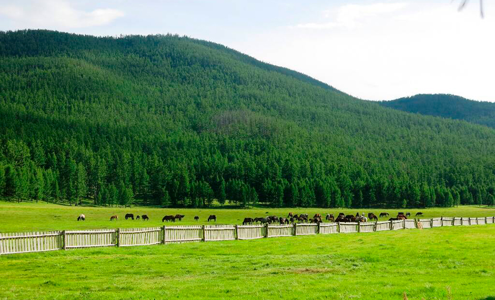 Foto: Karina e Pablo