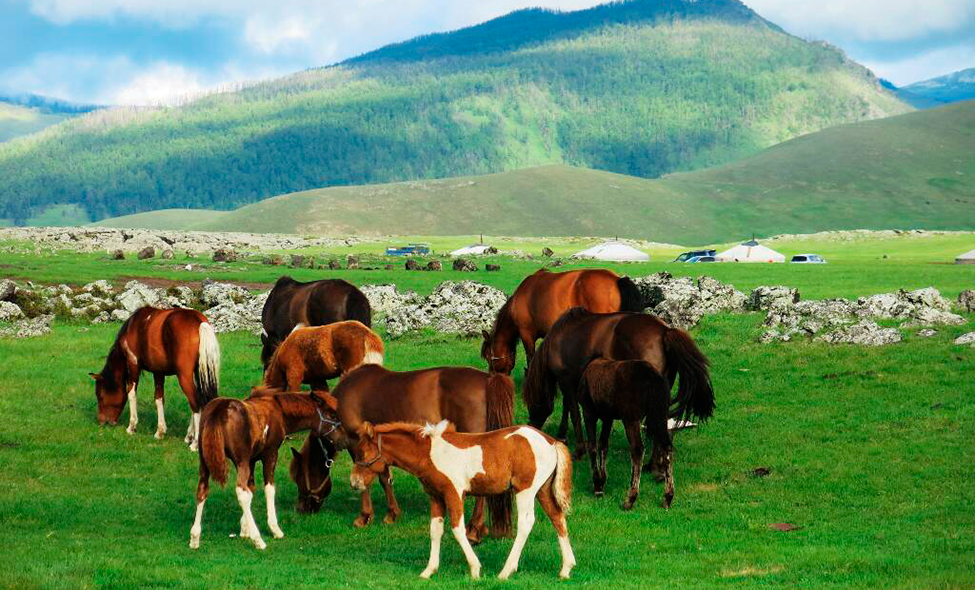 Foto: Karina e Pablo