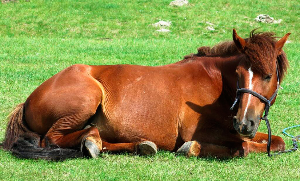 Foto: Karina e Pablo