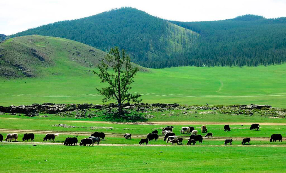 Foto: Karina e Pablo