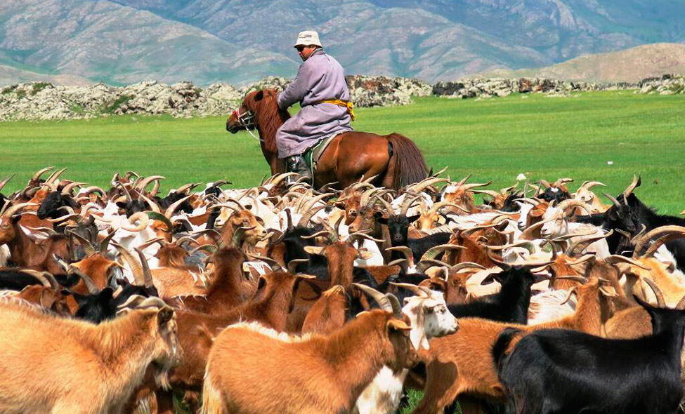 Foto: Karina e Pablo