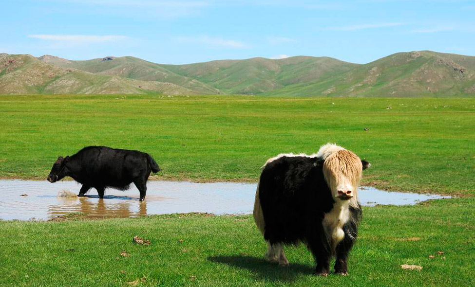 Foto: Karina e Pablo