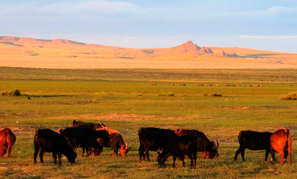 Foto: Karina e Pablo