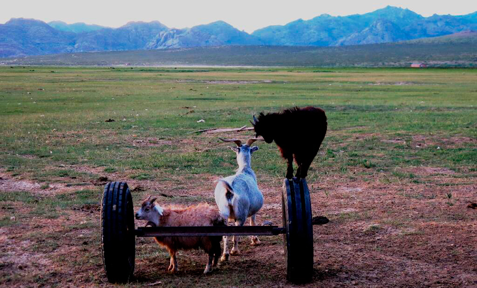 Foto: Karina e Pablo