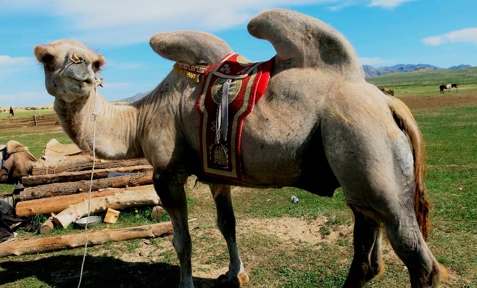 Foto: Karina e Pablo