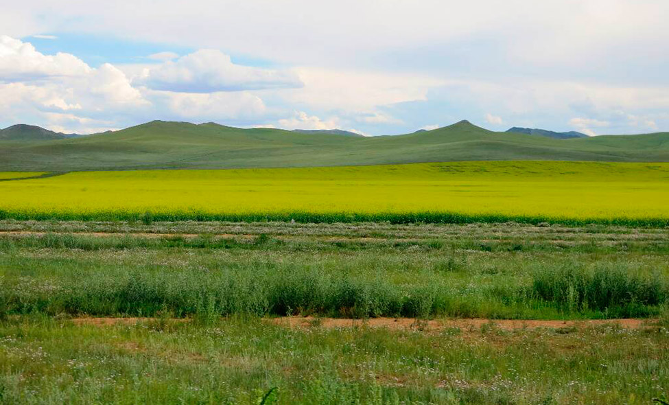 Foto: Karina e Pablo