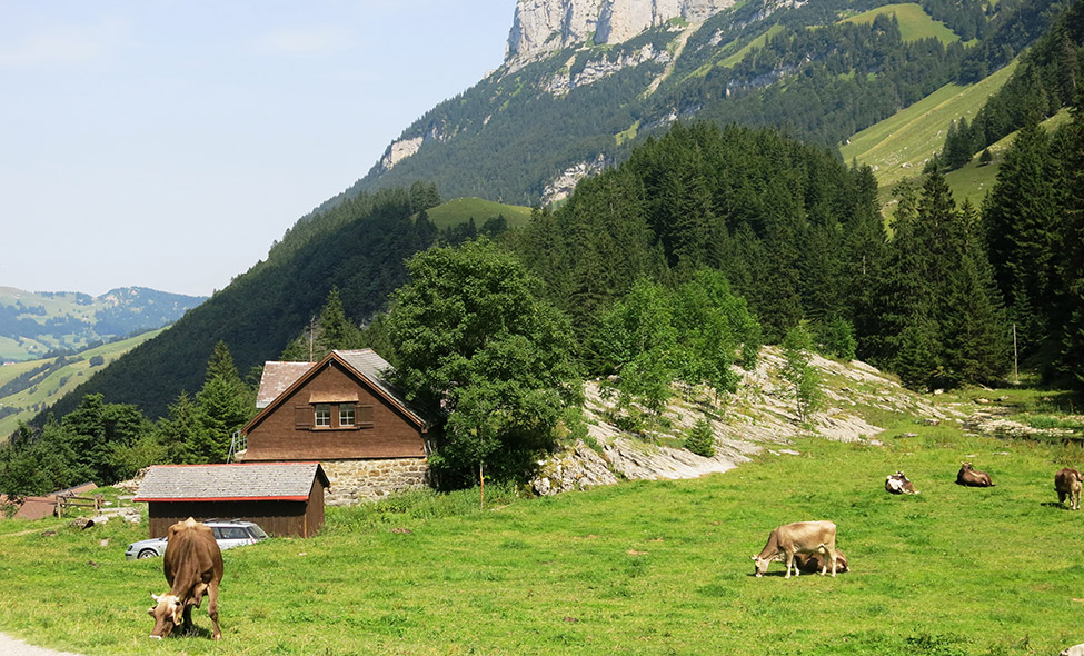 Foto: Karina e Pablo