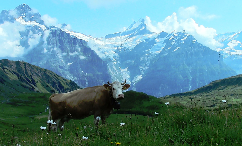 Foto: Karina e Pablo