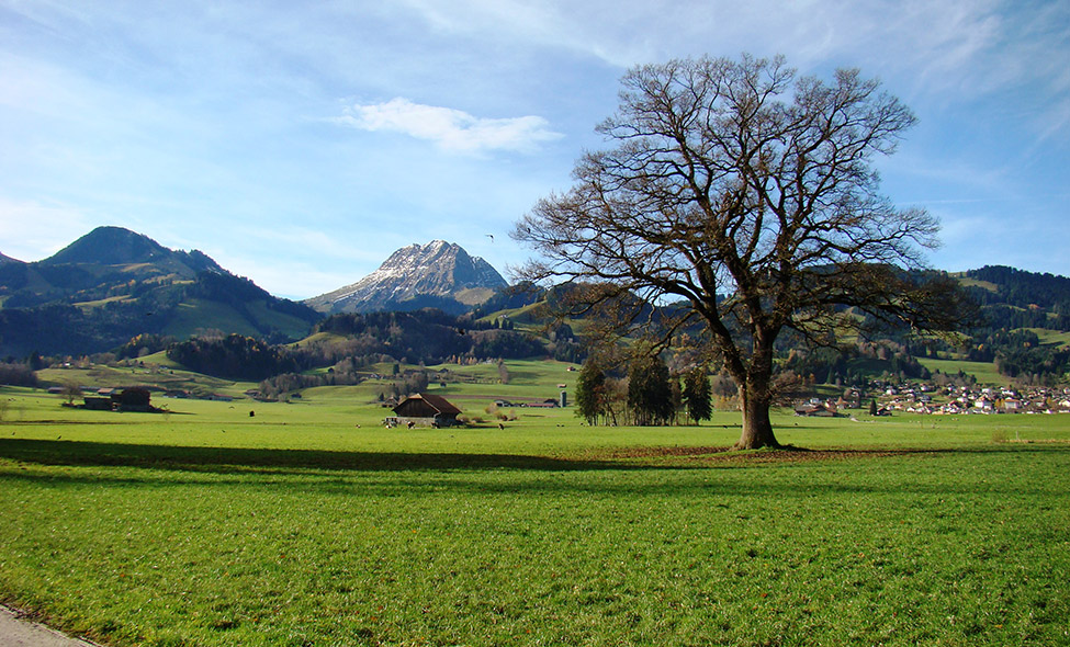 Foto: Karina e Pablo