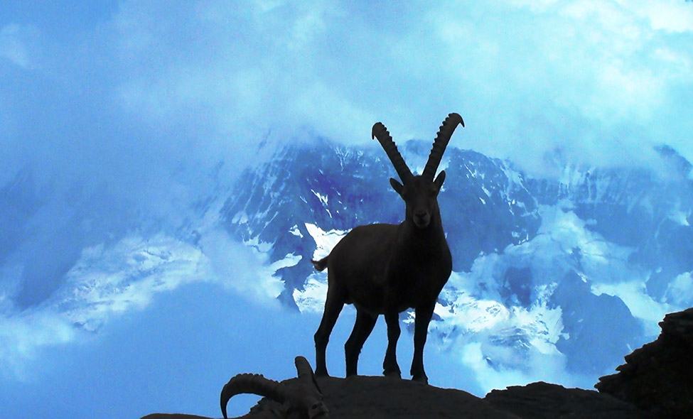 Foto: Karina e Pablo