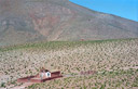 Chile - Altiplano