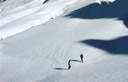 Bol�via