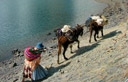 Bol�via - Parque Nacional Condoriri