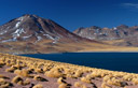 Laguna Miscanti