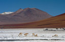 Cerro Toco