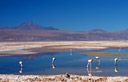 Laguna Chaxa