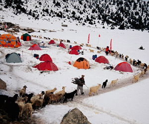 National Geographic - 94 - foto 7