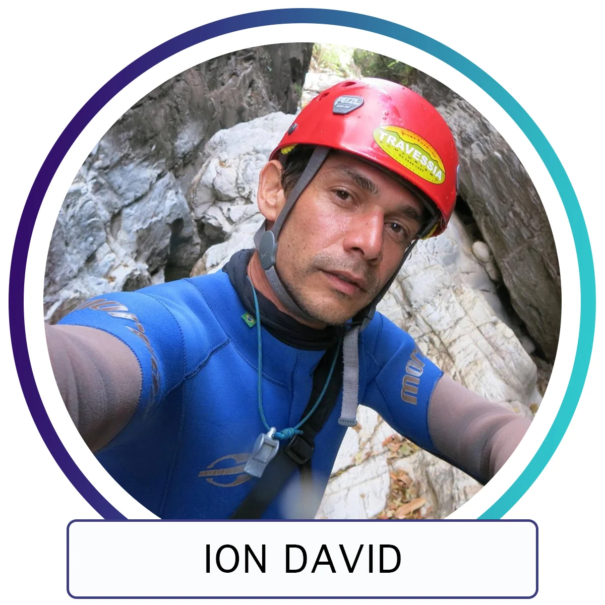 Ion David