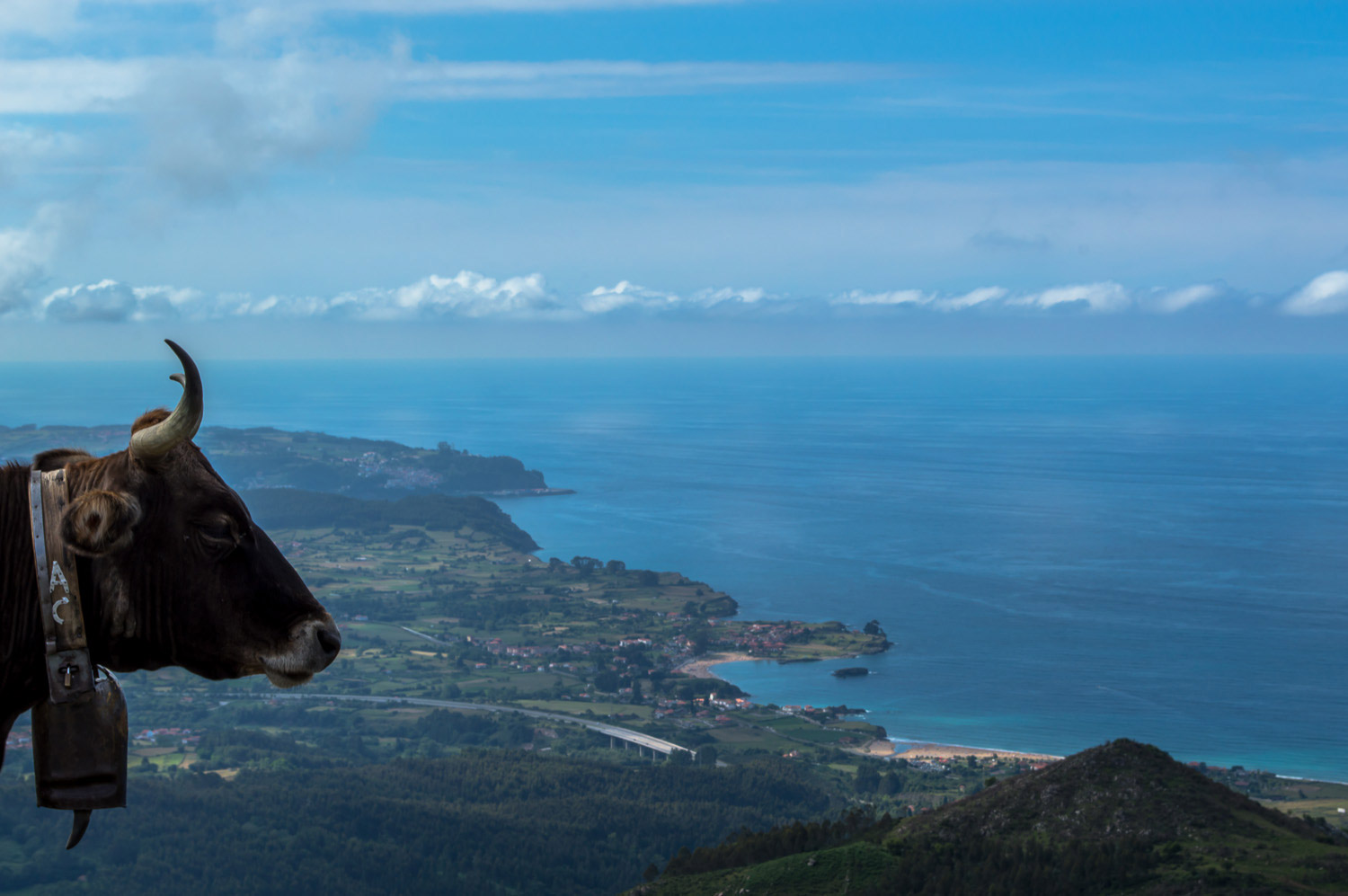 Vista do alto da montanha.