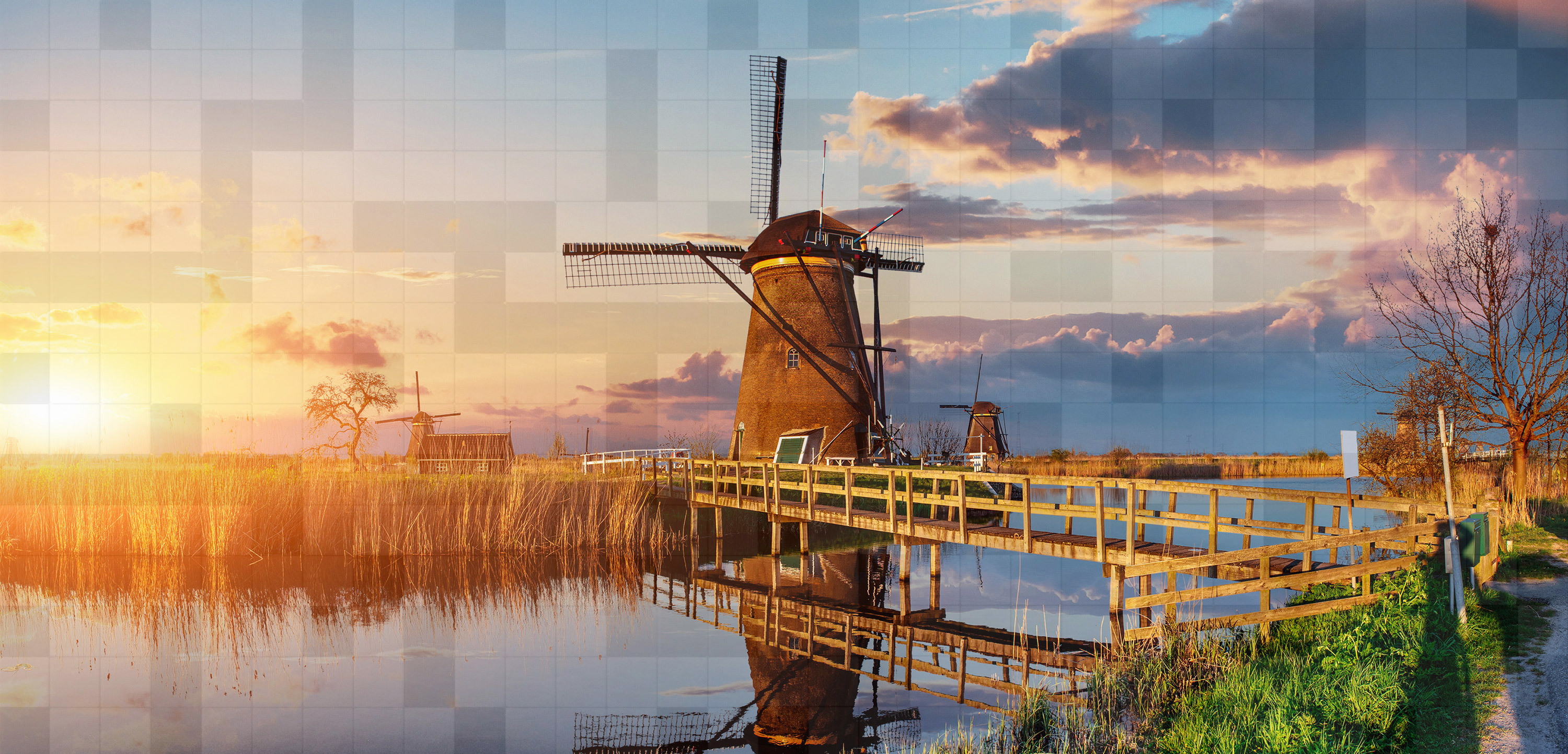 Palavras Cruzadas 15