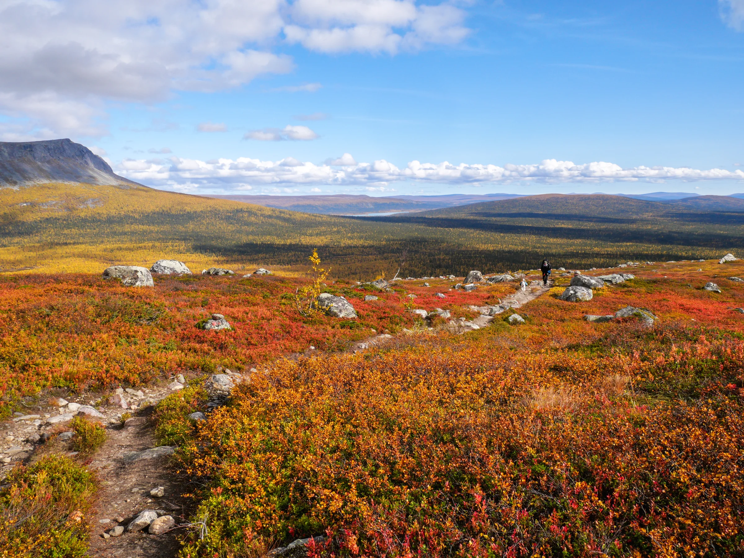 Trilha entre a vegetação de outono, montanhas e lagos na Kungsleden