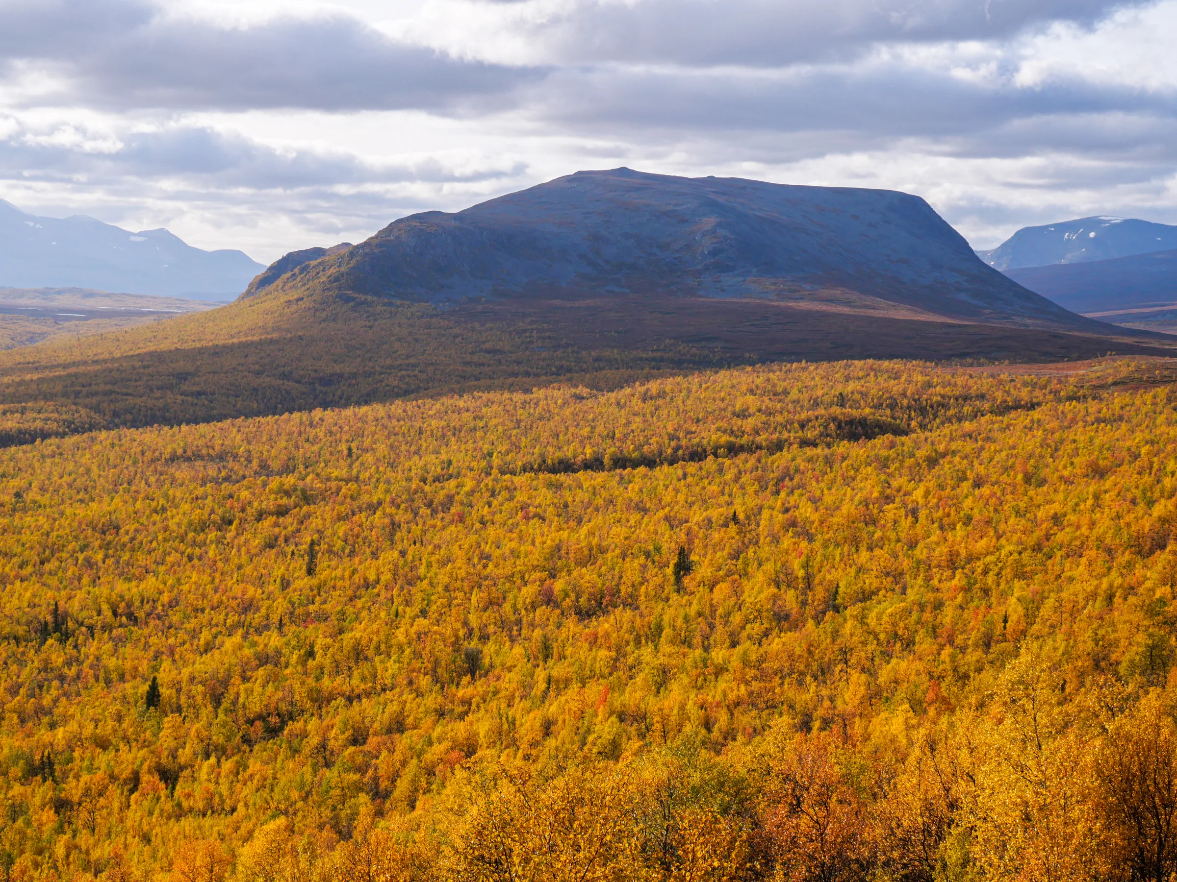 A paisagem da Kungsleden, entre montanhas e florestas douradas pelo outono.