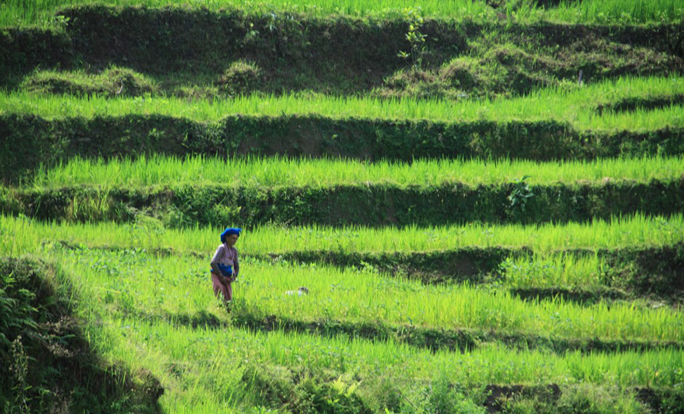 Foto: Manoel Morgado