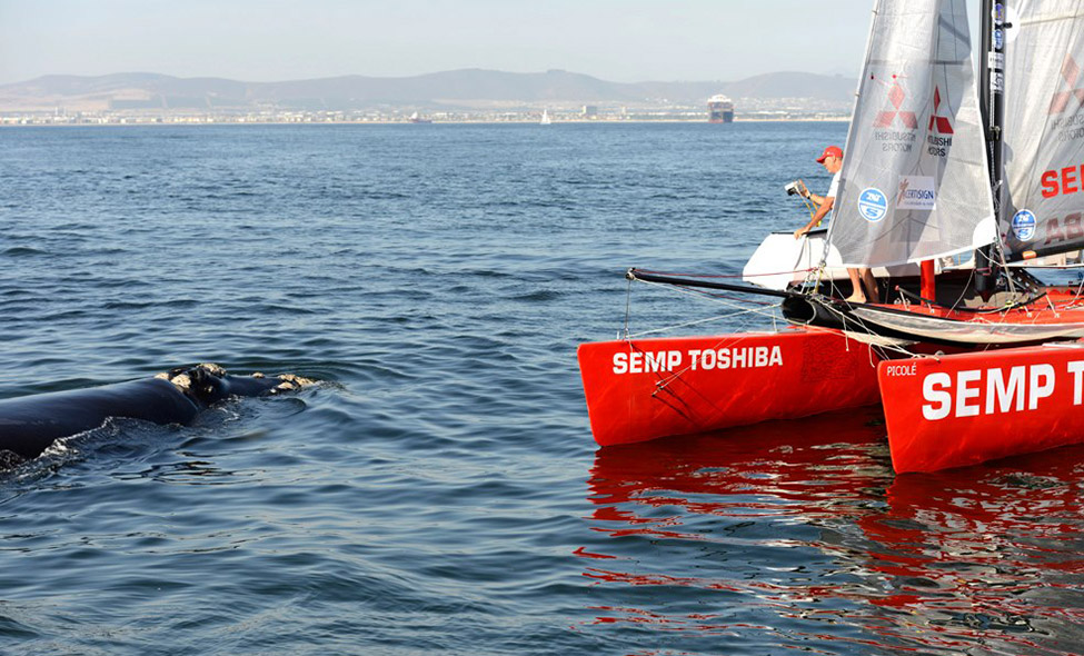 Foto: Maristela Colucci