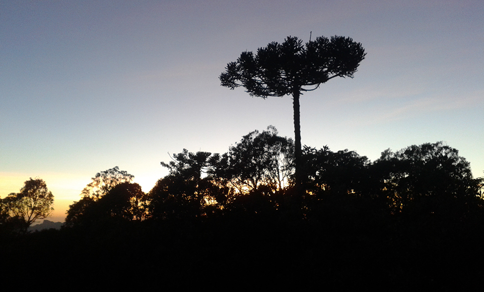 Foto: Pablo Bucciarelli