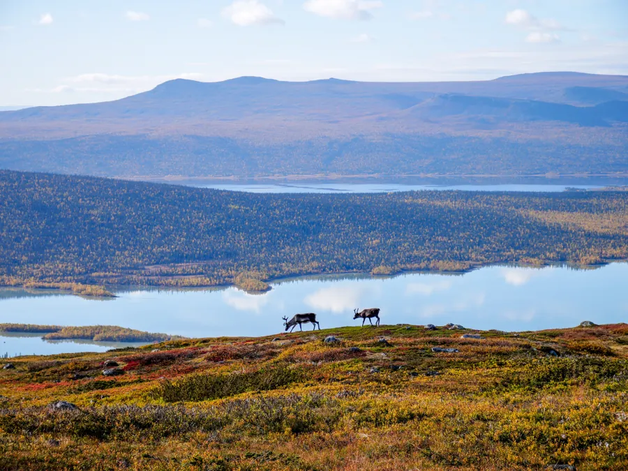 Lagos e montanhas no norte da Kungsleden